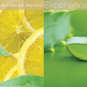 White Limetta and Aloe Vera Experience
